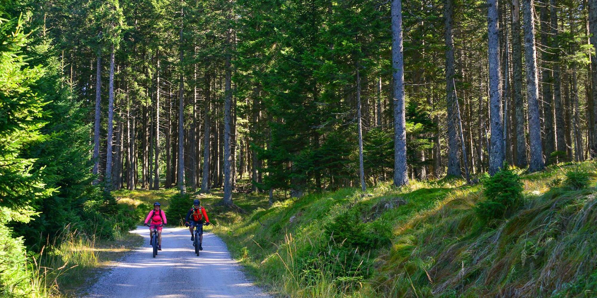 Pohorska kolesarska transverzala (PT)