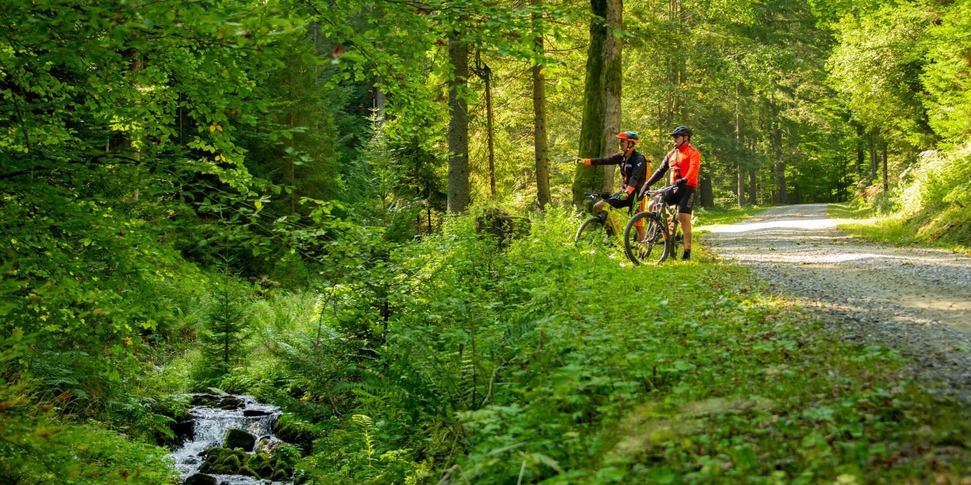 Cycling route Pohorje 3