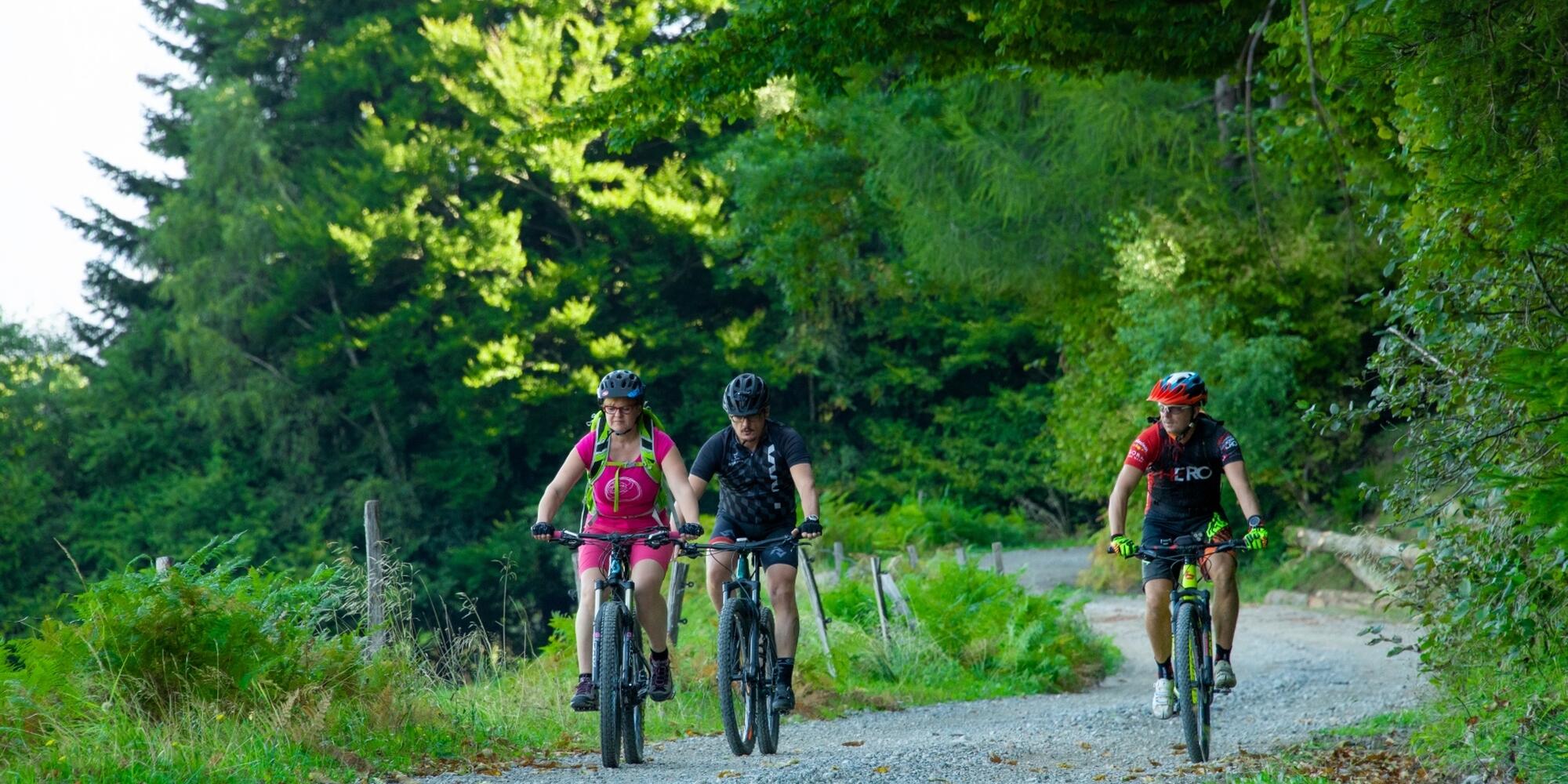 Cycling route Pohorje 4