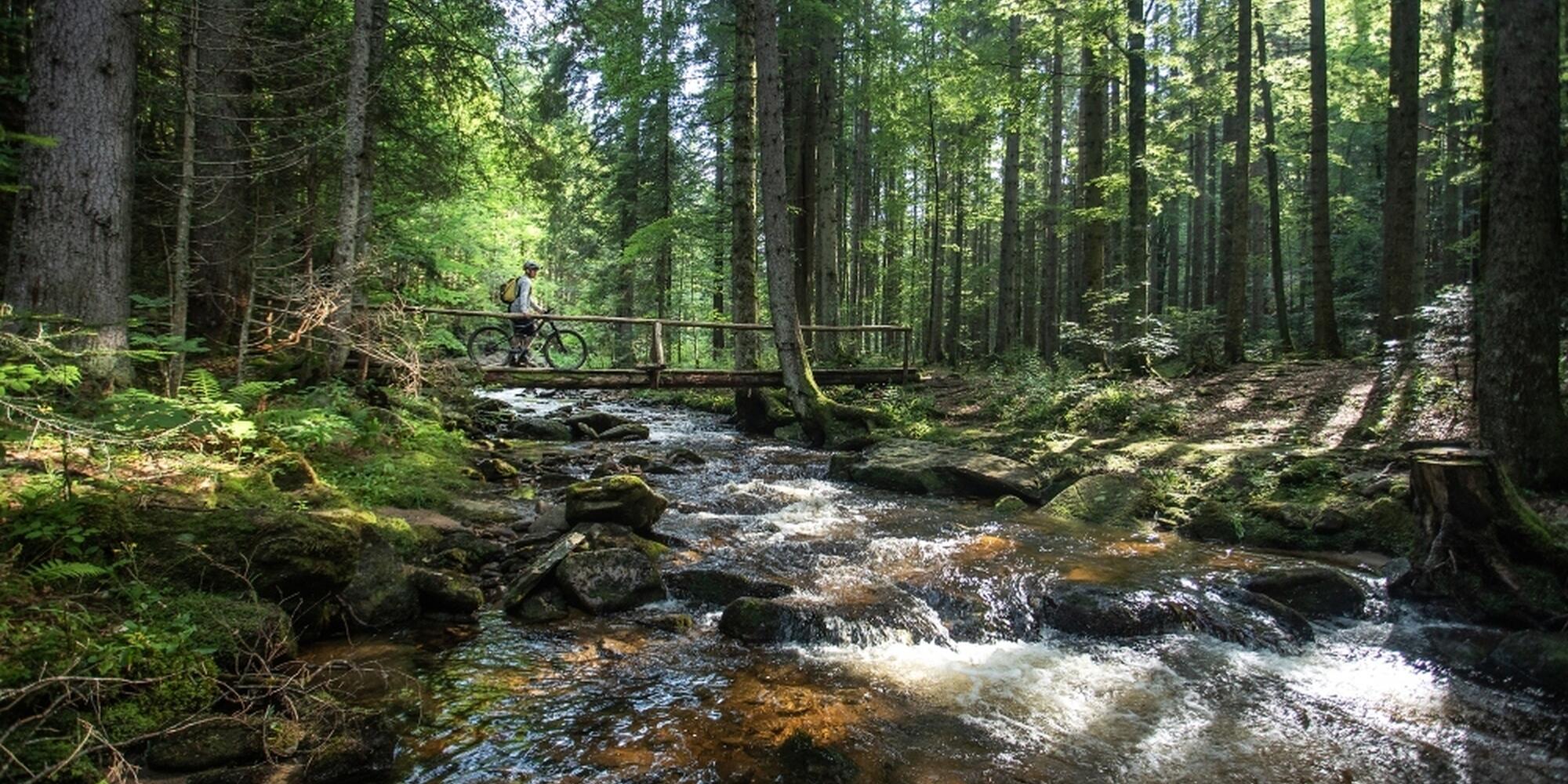 Cycling route Pohorje 5