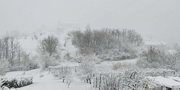 Panorama B&B