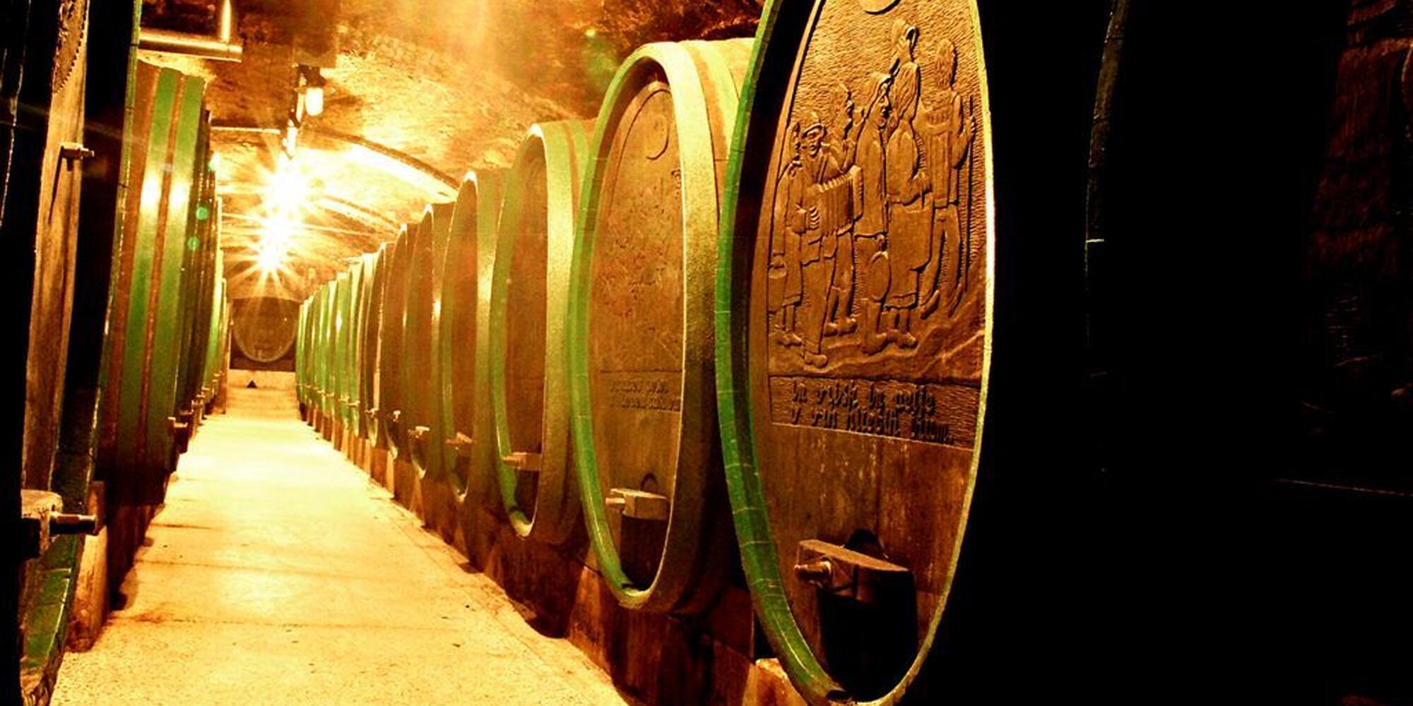 Ptuj Wine Cellar